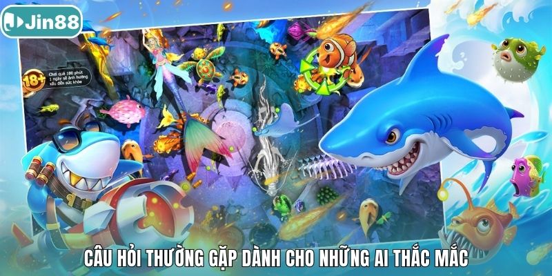 Câu hỏi thường gặp dành cho những ai thắc mắc